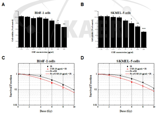 방사선이 조사된 B16F-1 및 SKMEL-5세포에서 CGE가 세포생존율에 미치는 영향