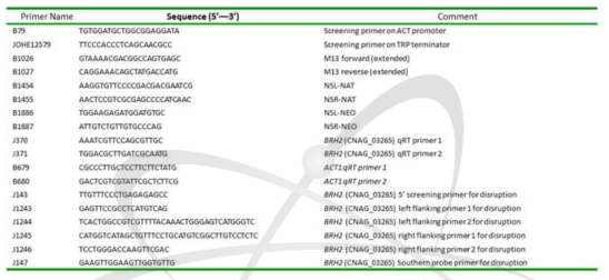 BRH2 변이균주 제조 및 qRT-PCR 분석을 위해 사용된 프라이머