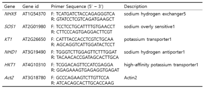 Na 또는 Cs 흡수 관련 유전자 및 qRT-PCR을 위한 primers