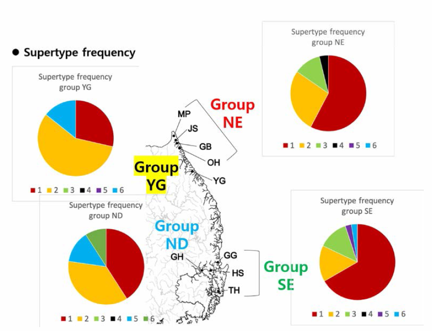 잔가시고기의 6가지의 MHC supertype의 group별 빈도 파이그래프