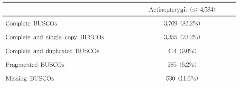 Draft genome을 Actinopterygii gene DB의 유전자와 비교한 (BUSCO 분석) 결과