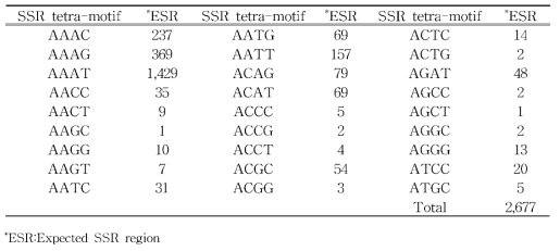 긴호랑거미의 tetra-motif 27종류 SSR 후보 영역