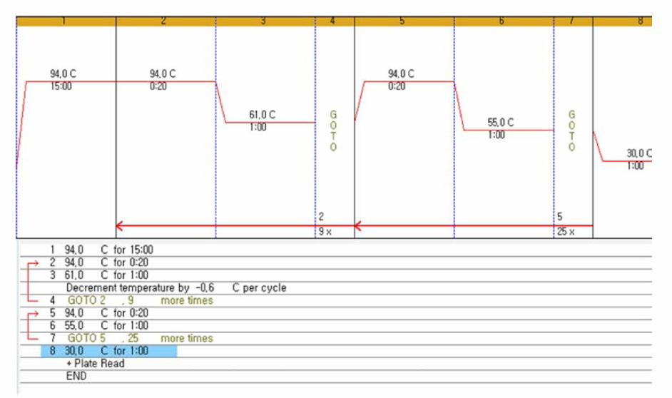 남생이 Real-time PCR의 Touch Down 조건