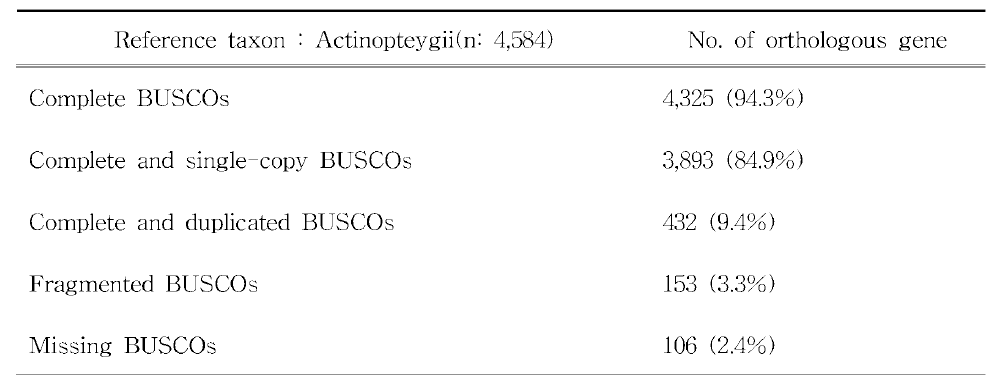 가시고기의 구축된 Draft genome에 대한 BUSCO 분석 결과