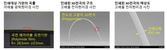 기판 곡률과 인쇄된 3D전극 구조물(~ 610 nm) 이미지