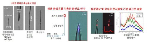 광신호 인가 및 검출기술