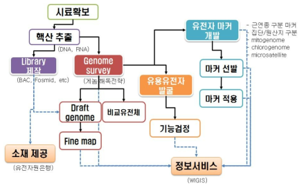 야생생물의 유전체 정보 확보 전략