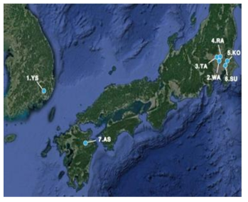 선제비꽃 국내·외 채집지역(국내 1집단, 일본 6집단)