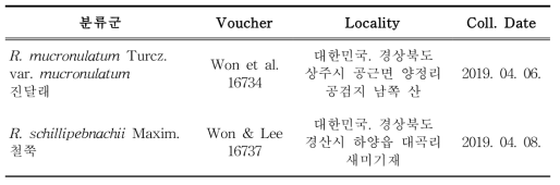 엽록체 유전체 규명을 위해 분석된 진달래 및 철쭉 시료 목록