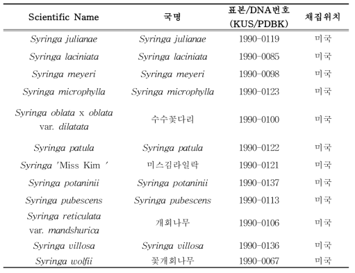 수수꽃다리속 (Syringa) 의 샘플 정보