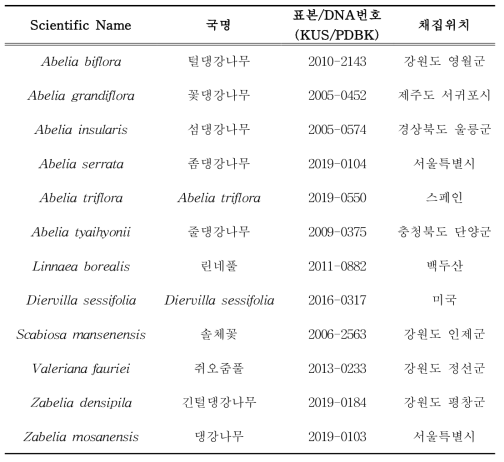 인동과 댕강나무속의 샘플 정보