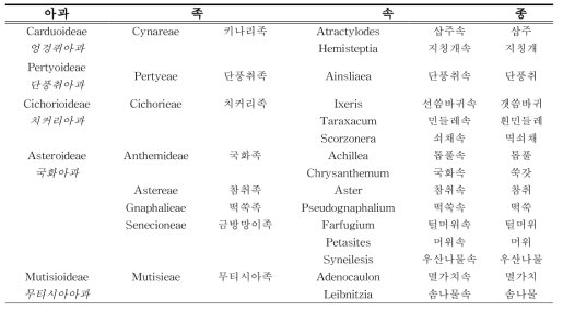 국화과 식물의 핵 전사체 분석의 연구대상종