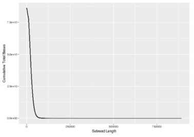 삼백초 표준서열 작성을 위한 oxford nanopore 분석