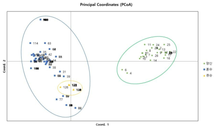 선제비꽃 개체별 PCoA 분석