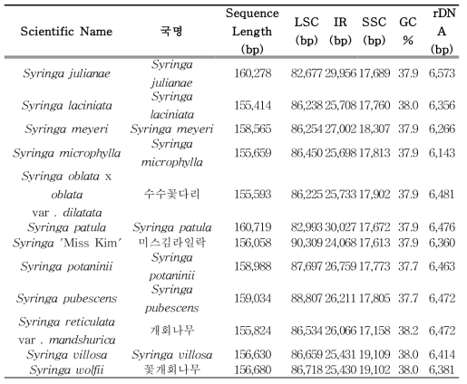 수수꽃다리속의 소기관 유전체 분석