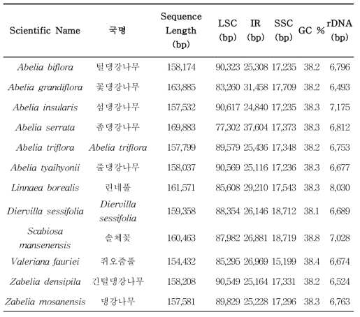 인동과 댕강나무속의 소기관 유전체 분석