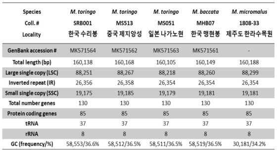 엽록체 유전체 비교분석에 사용된 아그배나무, 야광나무, 개아그배나무의 엽록체 유전체의 세부사항 요약