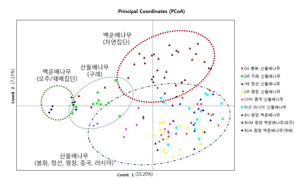 산돌배나무 6개 집단과 백운배나무 3개 집단에 대한 PCoA 분석 결과