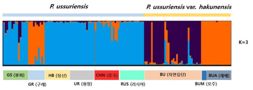 K 값에 따른 산돌배나무와 백운배나무 집단의 유전적 구조