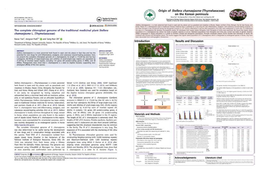 피뿌리풀 연구 논문 및 학회(Botany 2019) 발표