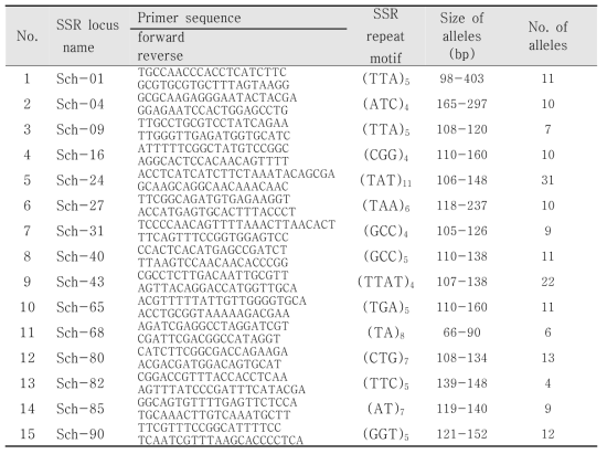 피뿌리풀의 유전다양성 분석을 위해 선별한 SSR 마커와 대립유전자의 정보