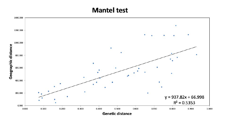 산수국 집단에 대한 Mantel Test 결과