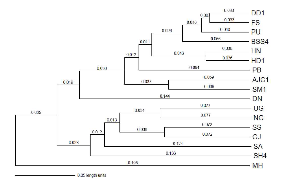 층층둥굴레 17개 집단 사이의 Nei’s Genetic distance를 기준으로 추정한 UPGMA tree