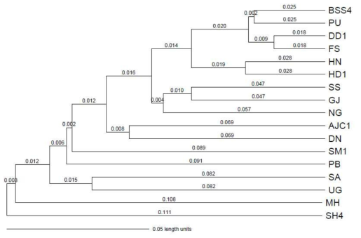 층층둥굴레 17개 집단 사이의 Pairwise Fst값을 기준으로 추정한 UPGMA tree