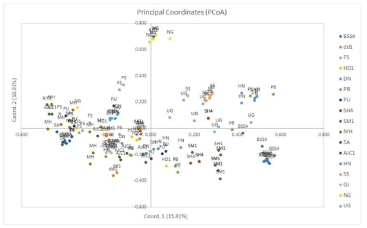 층층둥굴레 17개 집단 164개체에 대한 PCoA(Principal Coordinate) 분석 결과