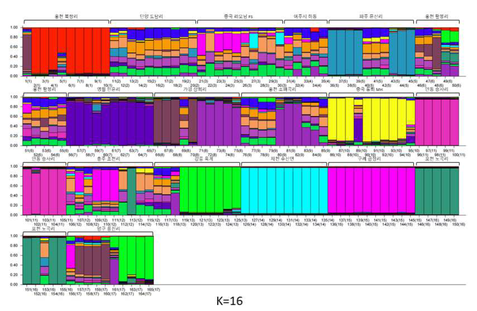 층층둥굴레 17개 집단에 대한 STRUCTURE 분석 결과. 각 개체별로 배정된 유전형 양상 (K=16)