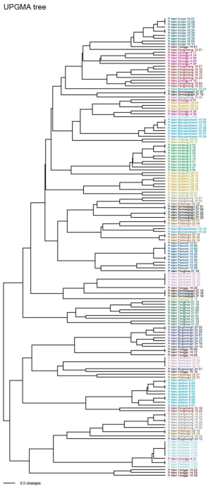 층층둥굴레 17개 집단에서 확인된 microsatellite genotype clustering 결과