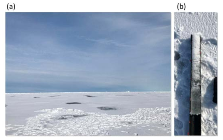 (a) 첫 번째 remote ice floe 현장 모습. (b) 추출된 비교적 두께가 얇은 해빙코어