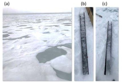 (a) 두 번째 해빙캠프 현장 모습. 첫 번째 지역보다 거칠기가 높음. (b) 해빙에서 추출된 비교적 두꺼운 코어