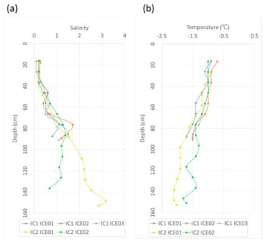 추출된 해빙의 염분 및 온도 프로파일