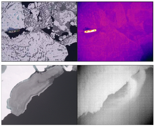쇄빙연구선 아라온의 북극해 해빙 캠프를 위해 정박한 해빙의 표면 온도 상대 분포(위)와 열적외선 영상에서 탐지 가능한 해빙 하부 용융 현상 관측(아래)