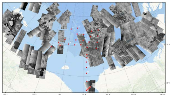 2017년 8월 획득한 북극해 아리랑 5호 모자이크 영상(적색원: 아라온 현장관측점)