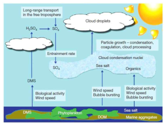 해양 기원 기후냉각가스(DMS) 및 용존유기물(DOM)의 방출에 의한 대기 에어로졸 및 구름응결핵 형성 과정 (Quinn and Bates, 2014)