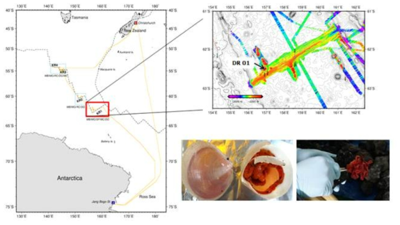 남극 중앙해령 KR1의 연구정점 DG01로부터 획득한 저서 생물 시료