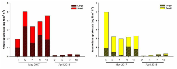 사이즈별 식물플랑크톤의 질산염 및 암모늄 섭취율