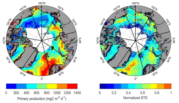 지역별 북극해의 지난 22년간 평균 일차생산력과 표준편차 공간분포 (1998.01~ 2019.08)