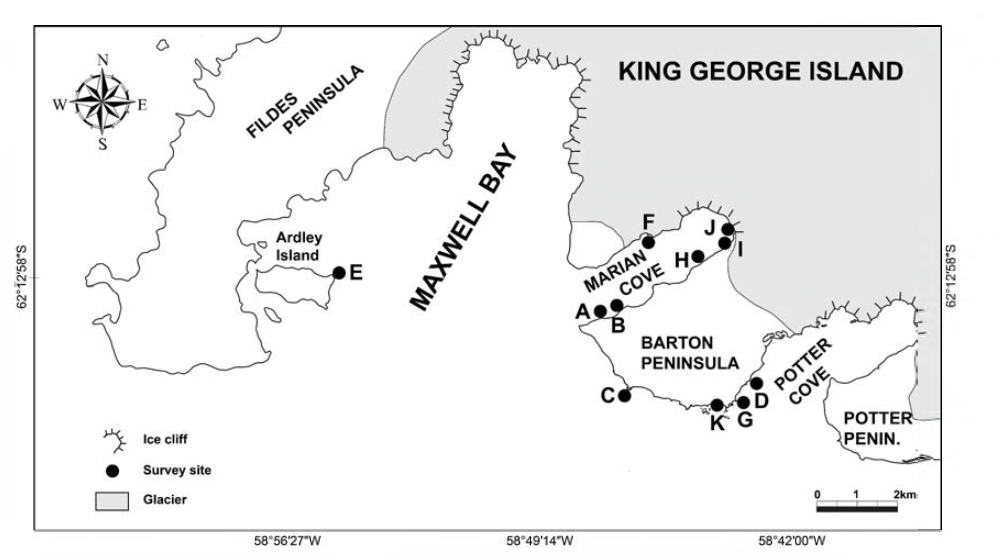Map of the Maxwell Bay, King George Island，indicating the eleven sampling sites. A, pier of King Sejong Station； B，Daewang Rock； C，an islet off penguin rockery； D，an islet in the entrance of Potter Cove； E，an islet off Ardley Island； F，a southern shore of Weaver Peninsula； G，an islet in the entrance of Potter Cove 2； H，Marian Cove 3； I，Marian Cove 4； J, Marian Cove 5； K, a South-western intertidal zone of Barton Peninsula