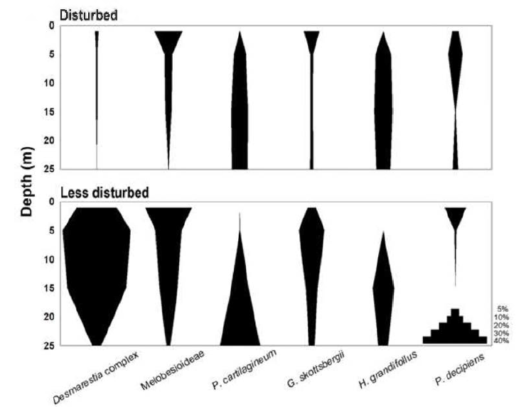 Vertical distribution of major species classified by habitat type (Sheltered: site A, B, F； Exposed: site C, D, E)
