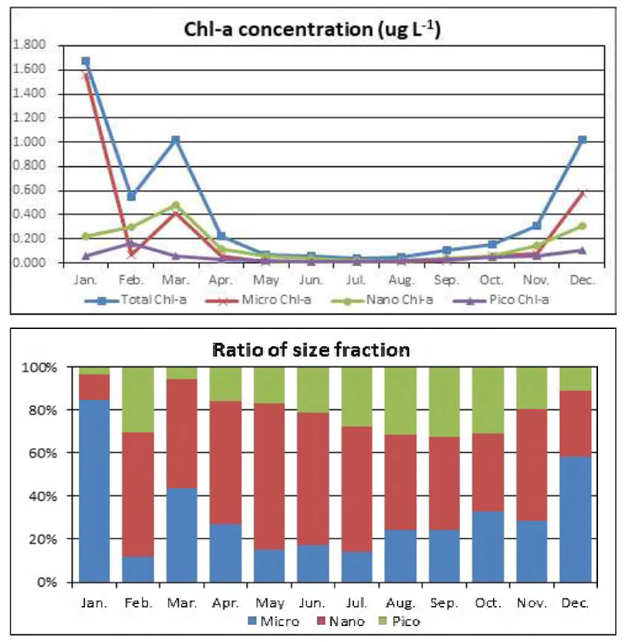 The distribution characteristics of phytoplankton at fixed sampling point at Marian Cove in 2019