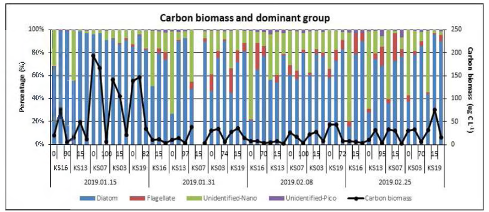 The total carbon content of phytoplankton and the spatiotemporal distribution of the dominant group