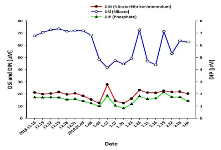 Nutrient monitoring data in front of the Sejong Station in 2019