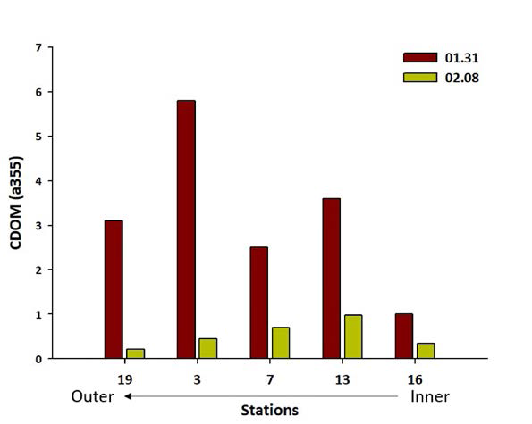 CDOM concentration in the surface seawater in Marian Cove