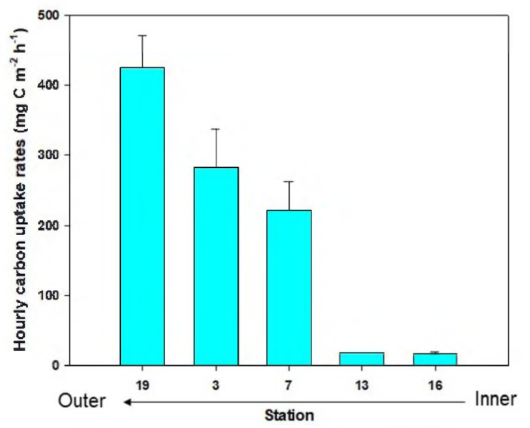 Carbon uptake rate of the phytoplankton in the euphotic layer in Marian Cove