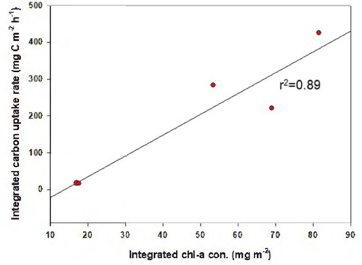 Integrated carbon uptake rate and chl-a concentration