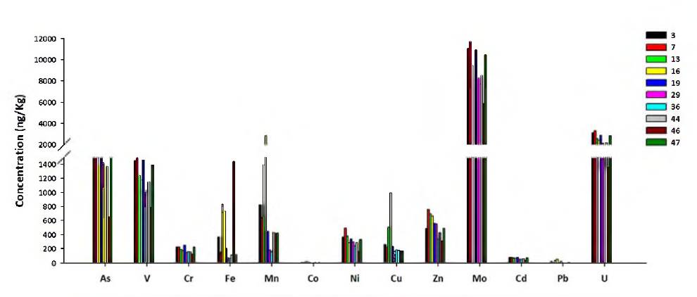 Concentration of trace metals in surface seawater in the study area