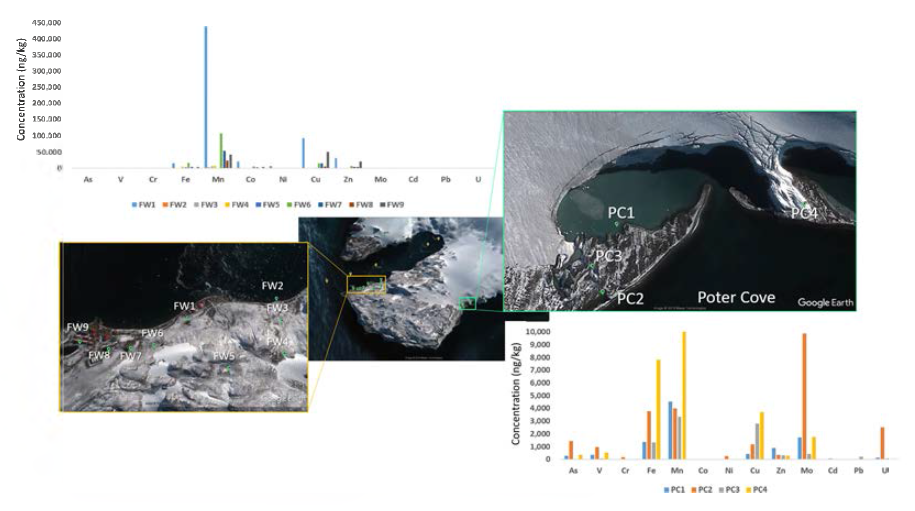 Concentration of trace metals in freshwater around the Sejong Station